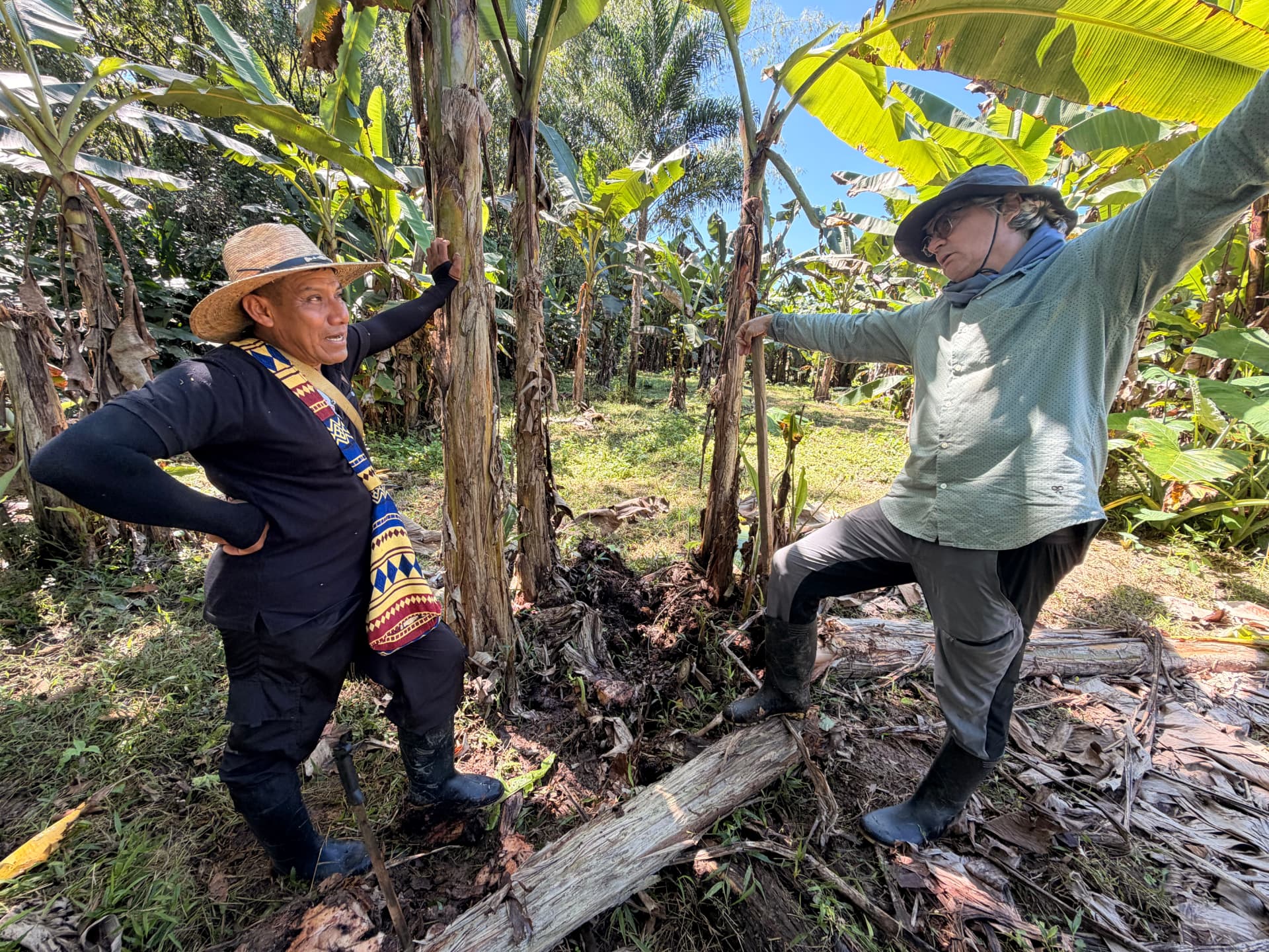 Taita and the TerraKeepers team survey land for cacao and expanding food systems.
